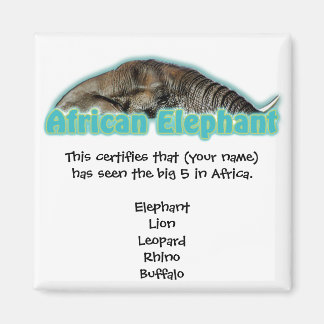 Big 5 Afrika wildlife safari magneten