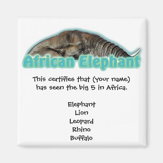 Big 5 Afrika wildlife safari magneten (Voorkant)