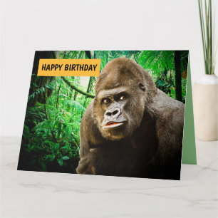 BIG APE FUNNY GORILLA BIRTHDAY CARDS OVERZICHT KAART