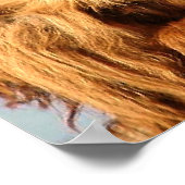 Big Ape Poster (Hoek)