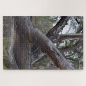 Big Australian Gum Tree Logs Legpuzzel (Horizontaal)