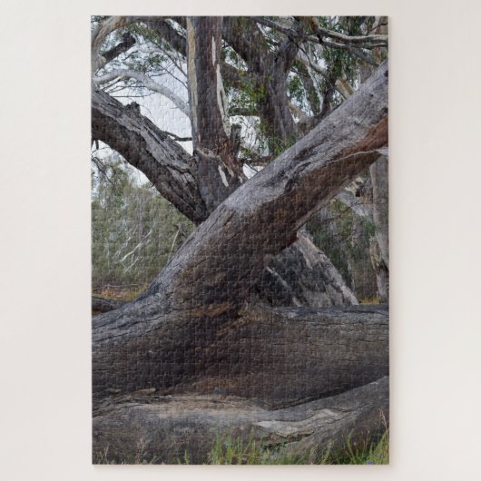 Big Australian Gum Tree Logs Legpuzzel (Verticaal)