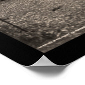 Big Basin Redwood Tree Foto 1907 Poster (Hoek)