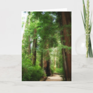 Big Basin Redwoods Bedankkaart