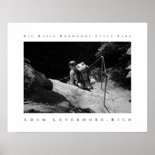 Big Basin Redwoods State Park Poster