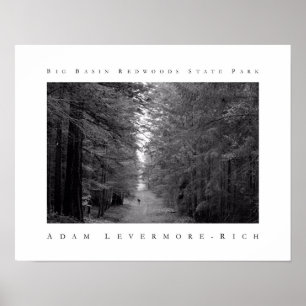 Big Basin Redwoods State Park Poster