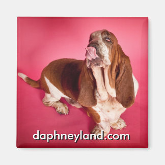Big Basset Kiss Magnet Magneet