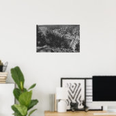 Big Beer Lake, CA Highway Abothe Dam Poster (Thuiskantoor)