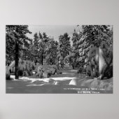 Big Beer Lake, CA in het Winter Snow Uitzicht Poster (Voorkant)