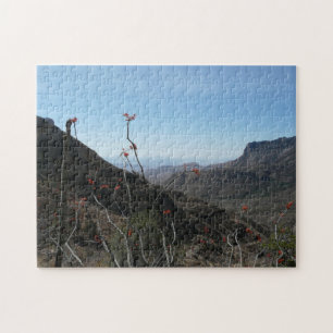 Big Bend Park, Texas/Mountains Legpuzzel