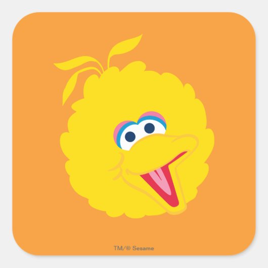 Big Bird Face Vierkante Sticker (Voorkant)