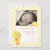 Big Bird Faire-part de naissance (Devant)