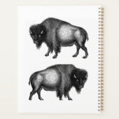 Big Bison Buffalo Thunder-Cove (Dos)