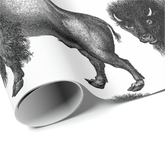 Big Bison Buffalo Thunder_Cove Cadeaupapier (Rol Hoek)