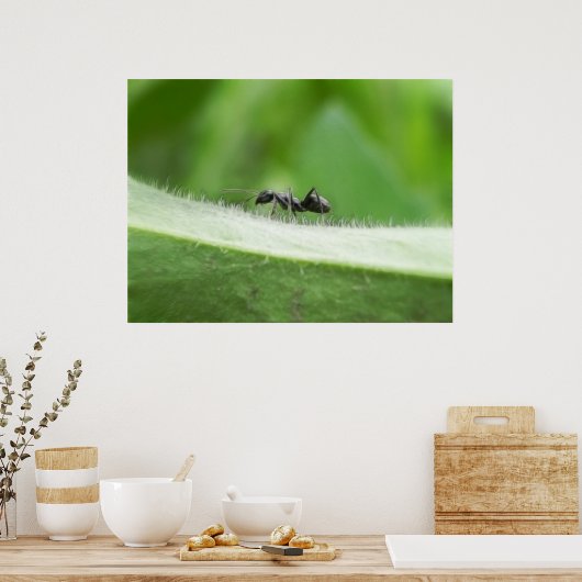 Big Black Ant Poster (Keuken)