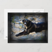 Big Black Pitbull Lab Cross Briefkaart (Voorkant / Achterkant)