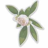 Big Bloom Camellia Charm Sticker (Voorkant)