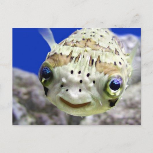 Big Blue Eyes Briefkaart (Voorkant)