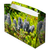 Big Blue Korean Fir Cones Large Cadeautasje (Achterkant Gekanteld)