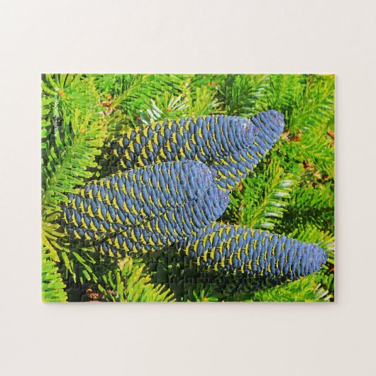 Big Blue Korean Fir Cones Legpuzzel (Horizontaal)