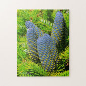 Big Blue Korean Fir Cones Legpuzzel (Verticaal)