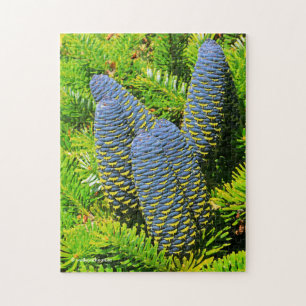 Big Blue Korean Fir Cones Legpuzzel