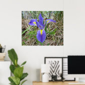 Big Blue Louisiana Iris Poster (Thuiskantoor)