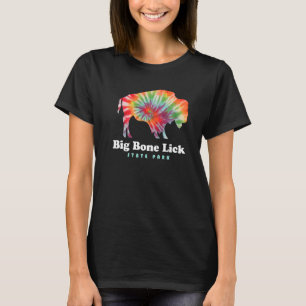 Big Bone Lick State Park Kentucky Bison T-shirt