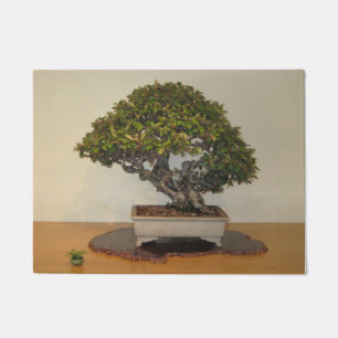 Big Bonsai Little Bonsai Washington DC Arboretum Deurmat