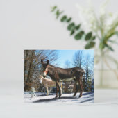 "Big Boy & Company" Briefkaart (Staand voorkant)