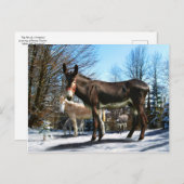 "Big Boy & Company" Briefkaart (Voorkant / Achterkant)