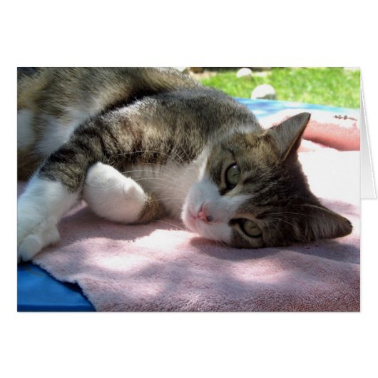 Big Boy op de tafel Blank Wenskaart (Voorkant Horizontaal)