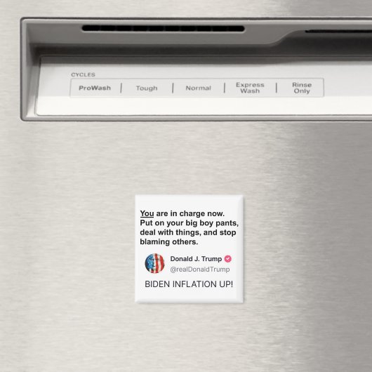 Big Boy Pants™ 'Fridge Magnet (In Situ (Lave-vaisselle))