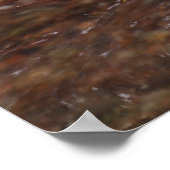 Big Branch-Herfsten Poster (Hoek)