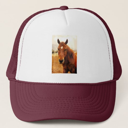 Big Braxton Trucker Hat Pet (Voorkant)