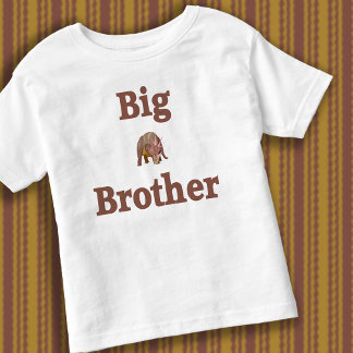 Big Brother Dinosaur Kinder Shirts