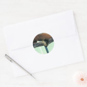 Big Brown Bat Ronde Sticker (Envelop)