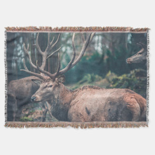 Big Brown Buck Deer met Grote Antlers Deken