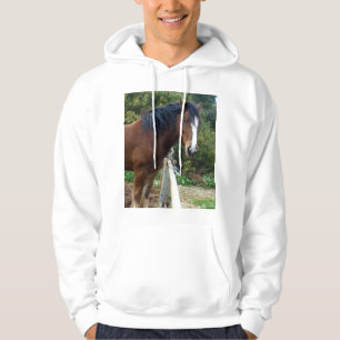 Big Brown Clydesdale Horse, Sweat - shirt à capuch