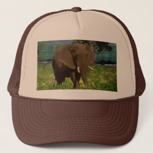 Big Brown Elephant Grazing, Trucker Pet