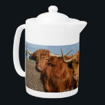 Big Brown Highland Cows<br><div class="desc">Des Featured are Big Brown Highland Cows.</div>