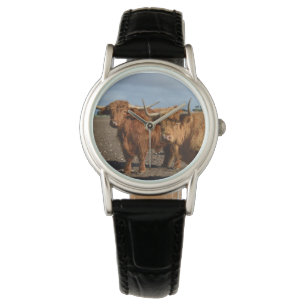 Big Brown Highland Koeien, Horloge