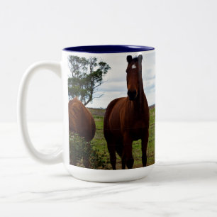 Big Brown Magnificent Horse Tweekleurige Koffiemok