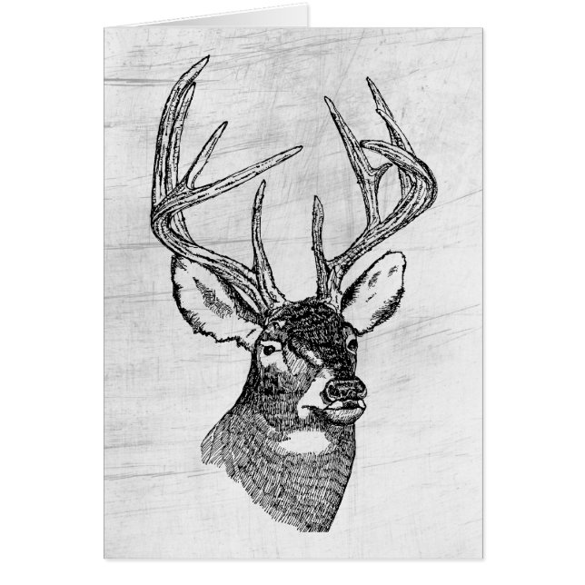 BIG BUCK (Voorkant)