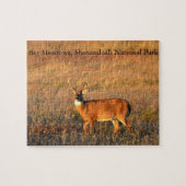 Big Buck, Big Meadows, Shenandoah National Park Legpuzzel (Horizontaal)