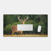 Big Buck Deer (Clavier et souris)