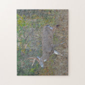 Big Buck Deer au Texas Wild Animal Puzzle (Vertical)
