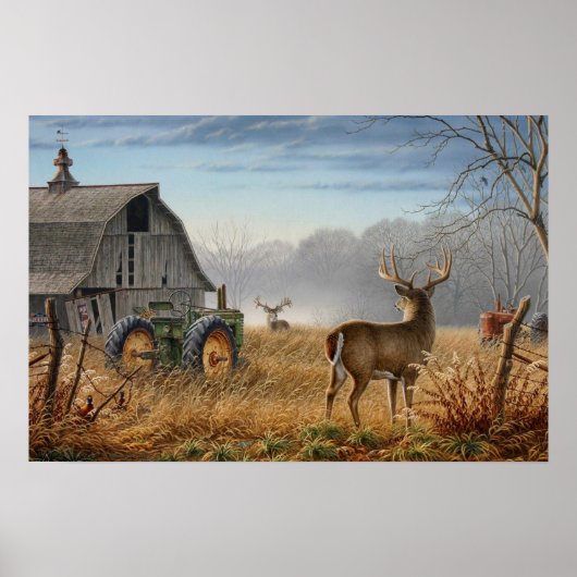 Big Buck Deer schokte op het Boerderij Poster (Voorkant)