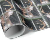 Big Buck in Window Cadeaupapier (Rol Hoek)