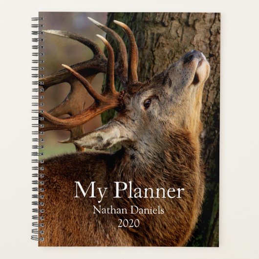 Big Buck Planner (Voorkant)